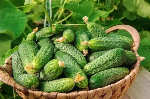 最近大瓜事件,揭秘明星隐私风波背后的真相-第2张图片-51吃瓜官网-51黑料平台