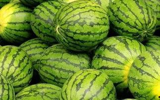 吃瓜网官网免费观看 吃瓜网官网,免费观看，畅享娱乐盛宴-第2张图片-51吃瓜官网-51黑料平台