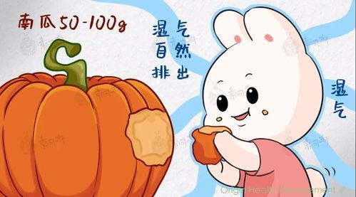 吃方瓜胀气,揭秘消化过程中的奇妙现象-第1张图片-51吃瓜官网-51黑料平台