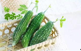 虎耳瓜怎样吃,探索美味与营养的完美结合-第3张图片-51吃瓜官网-51黑料平台
