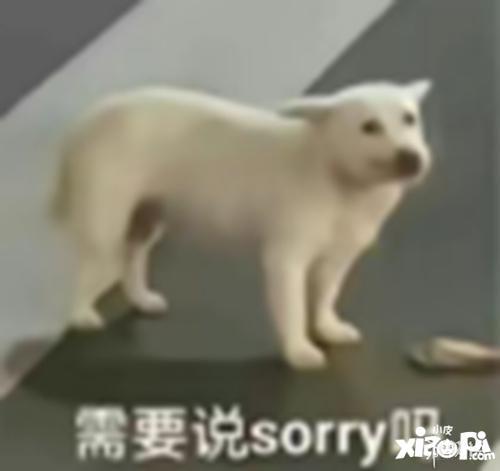 团团吃瓜吃自己头上,一场意外的“头顶盛宴”-第3张图片-51吃瓜官网-51黑料平台