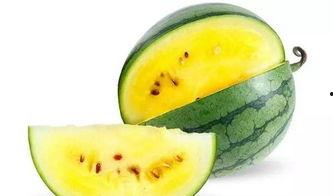 吃瓜情报地,吃瓜情报大揭秘，明星幕后故事全曝光-第2张图片-51吃瓜官网-51黑料平台