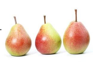 孕妇可以吃梨头瓜,孕妇适宜食用的梨头瓜-第2张图片-51吃瓜官网-51黑料平台