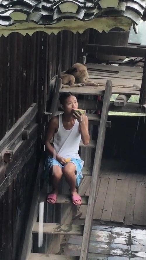 雨天梳头吃瓜,闲适生活的小确幸-第2张图片-51吃瓜官网-51黑料平台