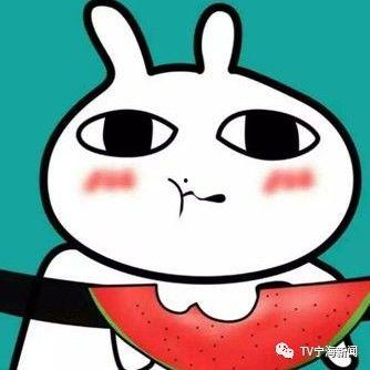 吃瓜表情包bp,揭秘网络热图的魅力与传播之道-第2张图片-51吃瓜官网-51黑料平台