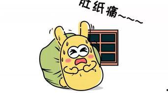 吃瓜群众地址,探寻网络红人的崛起之路-第1张图片-51吃瓜官网-51黑料平台