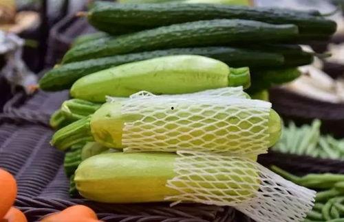 生理吃瓜和精神吃瓜一样吗,吃瓜行为的异同解析-第1张图片-51吃瓜官网-51黑料平台