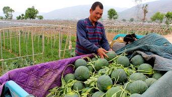 木苏吃瓜,揭秘娱乐圈背后的那些事儿-第1张图片-51吃瓜官网-51黑料平台