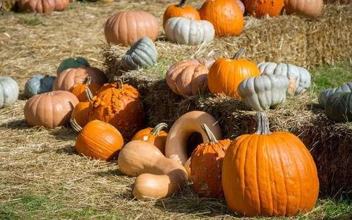 木苏吃瓜,揭秘娱乐圈背后的那些事儿-第2张图片-51吃瓜官网-51黑料平台