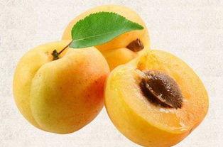 吃瓜汾阳,探寻民间美食与民俗风情-第2张图片-51吃瓜官网-51黑料平台