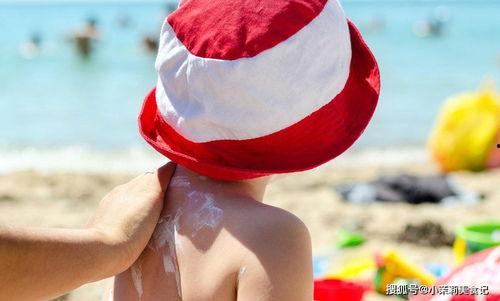 吃瓜系统夏太傅,吃瓜系统中的智慧导师-第2张图片-51吃瓜官网-51黑料平台