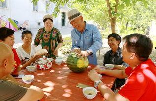 社区干部吃瓜,揭秘基层干部的日常生活与心态-第1张图片-51吃瓜官网-51黑料平台