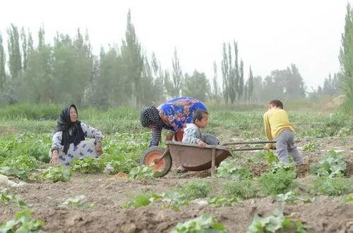 山野牧歌吃瓜群众-第1张图片-51吃瓜官网-51黑料平台