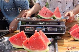 河北恶心吃瓜事件视频,视频揭露惊人真相，网友热议不断-第1张图片-51吃瓜官网-51黑料平台