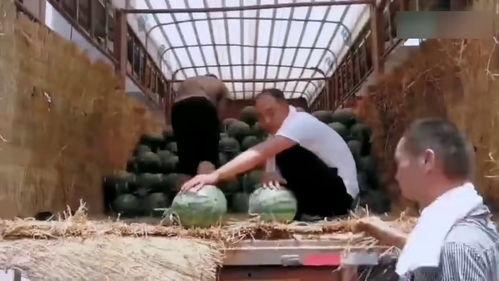 陕西护士吃瓜了,揭秘背后真相与网络舆论风暴-第1张图片-51吃瓜官网-51黑料平台 陕西护士吃瓜了,揭秘背后真相与网络舆论风暴-第1张图片-51吃瓜官网-51黑料平台