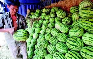 陕西护士吃瓜了,揭秘背后真相与网络舆论风暴-第2张图片-51吃瓜官网-51黑料平台 陕西护士吃瓜了,揭秘背后真相与网络舆论风暴-第2张图片-51吃瓜官网-51黑料平台