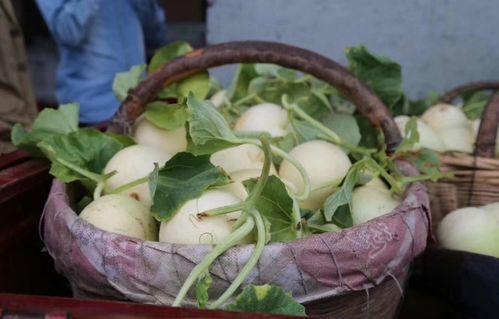 陕西护士吃瓜了,揭秘背后真相与网络舆论风暴-第3张图片-51吃瓜官网-51黑料平台 陕西护士吃瓜了,揭秘背后真相与网络舆论风暴-第3张图片-51吃瓜官网-51黑料平台