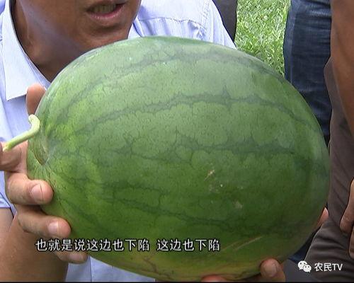 吃瓜老手叫什么,揭秘娱乐圈幕后真相的神秘人物-第2张图片-51吃瓜官网-51黑料平台 吃瓜老手叫什么,揭秘娱乐圈幕后真相的神秘人物-第2张图片-51吃瓜官网-51黑料平台