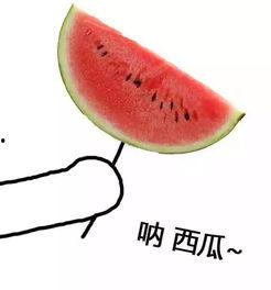 闷头吃瓜头像,揭秘闷头吃瓜者的内心世界-第2张图片-51吃瓜官网-51黑料平台 闷头吃瓜头像,揭秘闷头吃瓜者的内心世界-第2张图片-51吃瓜官网-51黑料平台