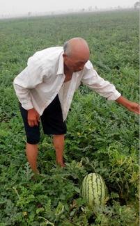 吃瓜老王卖马扎-第2张图片-51吃瓜官网-51黑料平台