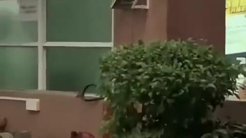 西昌吃瓜的新闻,揭秘背后真相与网络热议-第3张图片-51吃瓜官网-51黑料平台 西昌吃瓜的新闻,揭秘背后真相与网络热议-第3张图片-51吃瓜官网-51黑料平台