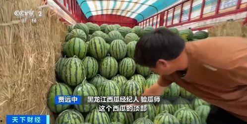 国内吃瓜中心,热点事件背后的真相与笑料-第1张图片-51吃瓜官网-51黑料平台