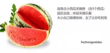 国内吃瓜中心,热点事件背后的真相与笑料-第2张图片-51吃瓜官网-51黑料平台