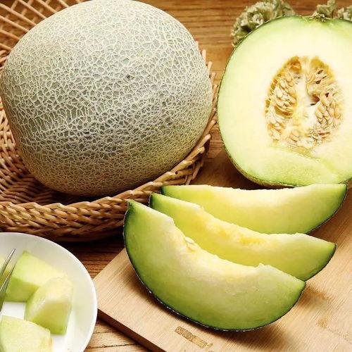 蜜瓜是什么时候吃的-第1张图片-51吃瓜官网-51黑料平台