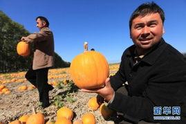 吃瓜商师建工,揭秘建筑行业背后的故事与真相-第1张图片-51吃瓜官网-51黑料平台