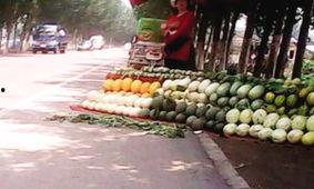 亭林雪瓜怎么吃美食,夏日消暑美食的甜蜜诱惑-第3张图片-51吃瓜官网-51黑料平台