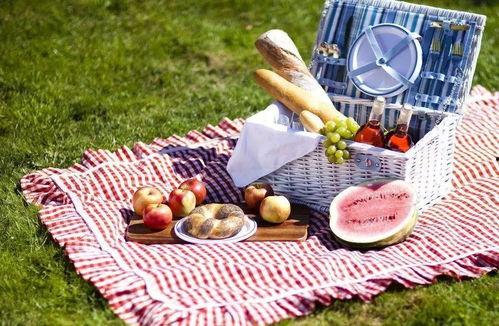 野餐兔吃瓜网-第2张图片-51吃瓜官网-51黑料平台