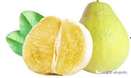 爱柚吃瓜,揭秘水果界的甜蜜诱惑与趣味故事-第1张图片-51吃瓜官网-51黑料平台