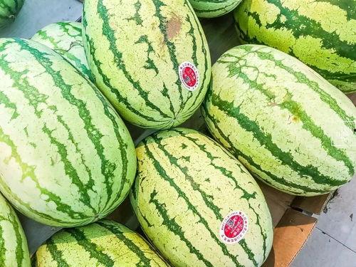 江阴网友吃瓜-第2张图片-51吃瓜官网-51黑料平台