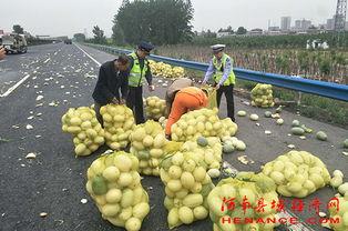 许昌今晚吃瓜-第2张图片-51吃瓜官网-51黑料平台