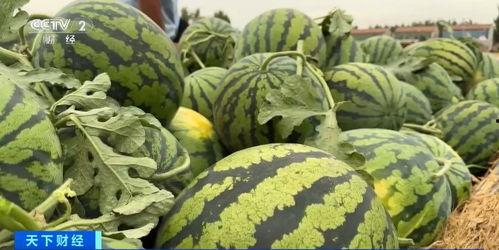 李大胆吃瓜趣事-第3张图片-51吃瓜官网-51黑料平台