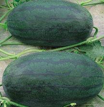 山东特色吃瓜视频-第2张图片-51吃瓜官网-51黑料平台