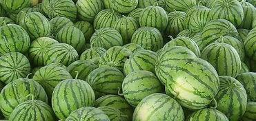 这几天吃的瓜-第3张图片-51吃瓜官网-51黑料平台