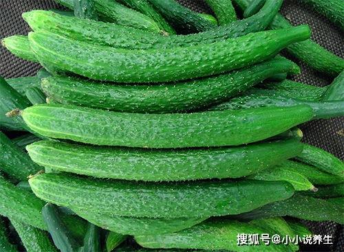 黄瓜叶蝉吃瓜,瓜田里的“绿色杀手”-第2张图片-51吃瓜官网-51黑料平台