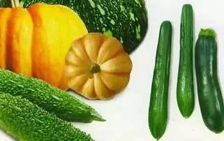 吃瓜还是瓜-第2张图片-51吃瓜官网-51黑料平台