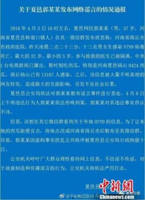商丘哪里有人吃瓜,瓜香四溢，市民共享夏日清凉时光-第2张图片-51吃瓜官网-51黑料平台